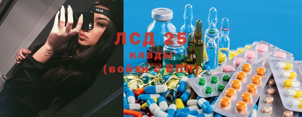 мяу мяу мука Алзамай
