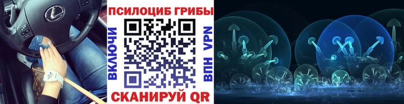 Галлюциногенные грибы прущие грибы  где найти наркотики  Каменногорск 