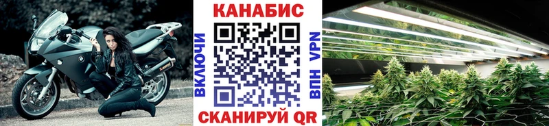 Каннабис индика  что такое   Каменногорск 
